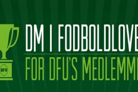 DM i fodboldloven 2014