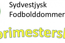 Internt mesterskab i fodboldloven