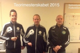 Teorimesterskab i fodboldloven 2015